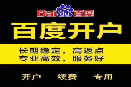 百度竞价包年推广效果：行业领先企业的成功之道
